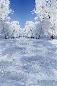 烟水拢残月小说在线阅读免费