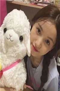 旧风未散的夏天精选