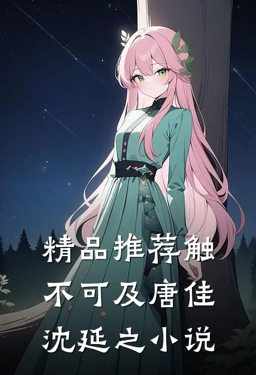 精品推荐触不可及唐佳沈延之小说