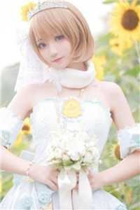 爱恨迟暮一叶秋后续+无弹窗