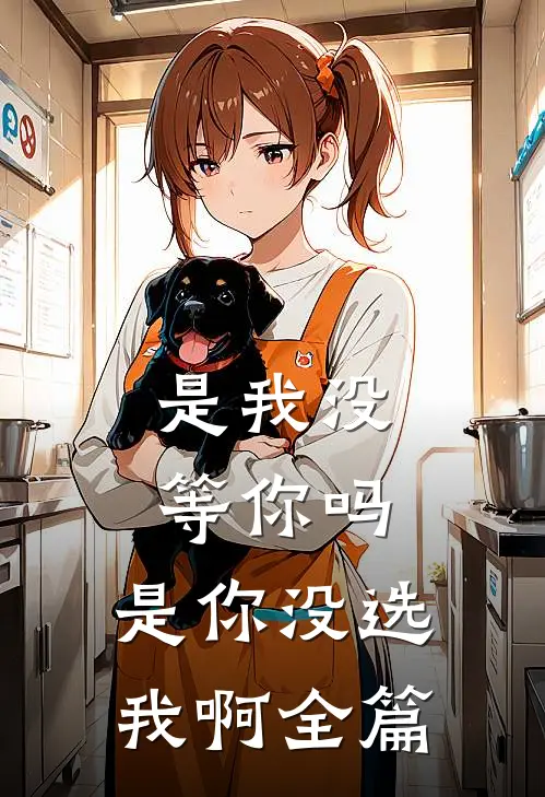 是我没等你吗,是你没选我啊全篇