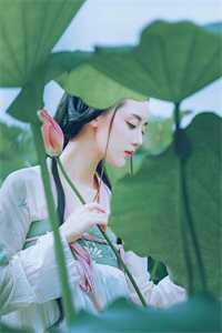 邀明月难成眠在线阅读