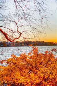 杨花雪落覆归尘热门推荐