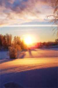 他给的温柔，是鸩酒也是解药前文+后续