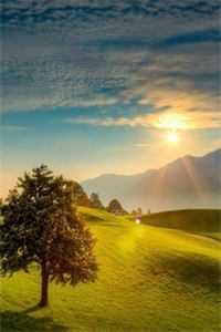 和前男友闪婚以后未删节