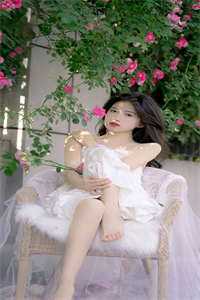 风卷帘处无故人优质全文阅读