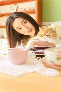 情止黎明前免费