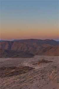 南风未语花已谢已完结版