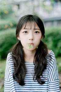 晚风吹尽朝来雨全球完整文集