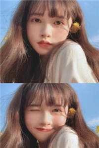 夏风掠过白夜篇章