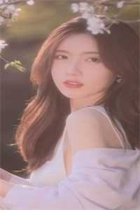 梨花落尽，云散夜未明好书