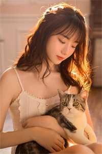 爱妃不擅争斗，朕只好专宠短篇小说阅读