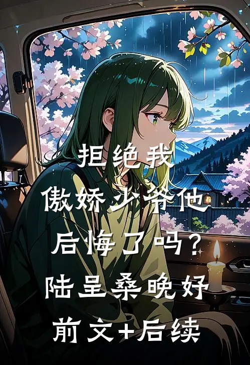 拒绝我，傲娇少爷他后悔了吗？陆呈桑晚妤前文+后续