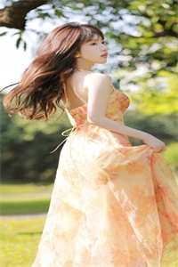 此情可待成追忆短篇