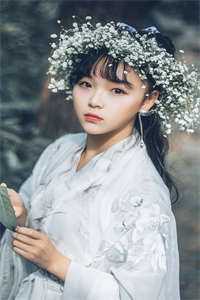 爱恨迟暮一叶秋热门小说