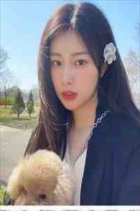 爱妃不擅争斗，朕只好专宠最后结局