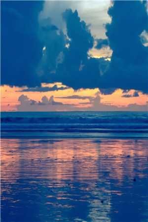 新婚夜，反手嫁给未婚夫的死对头沈天星谢临川全集