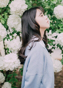 她送去风月一盏小说免费