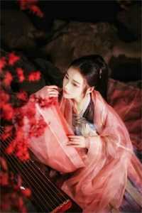 载你归程偿我悲欢人气小说