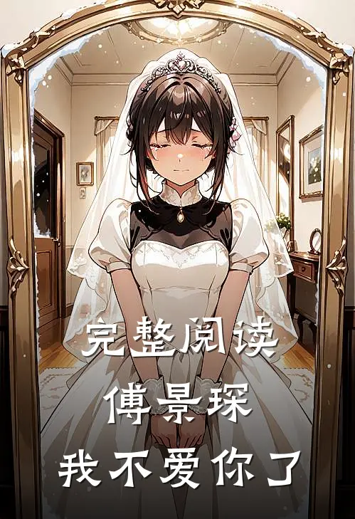 完整阅读傅景琛,我不爱你了全文