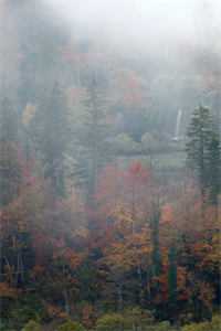 夏日沉于旷野无删减版