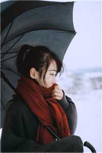 京华藏娇免费阅读