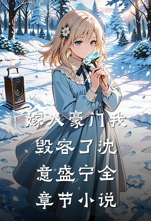 嫁入豪门我毁容了沈意盛宁全章节小说