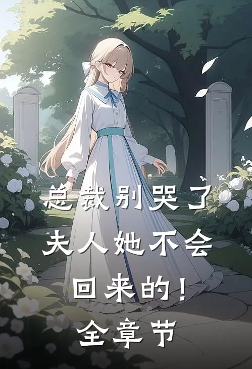 总裁别哭了,夫人她不会回来的!全章节