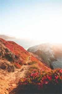 长亭烟雨湿青衣沈听澜许清玥结局+番外