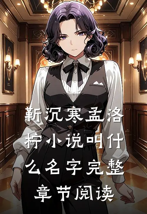 靳沉寒孟洛柠小说叫什么名字完整章节阅读