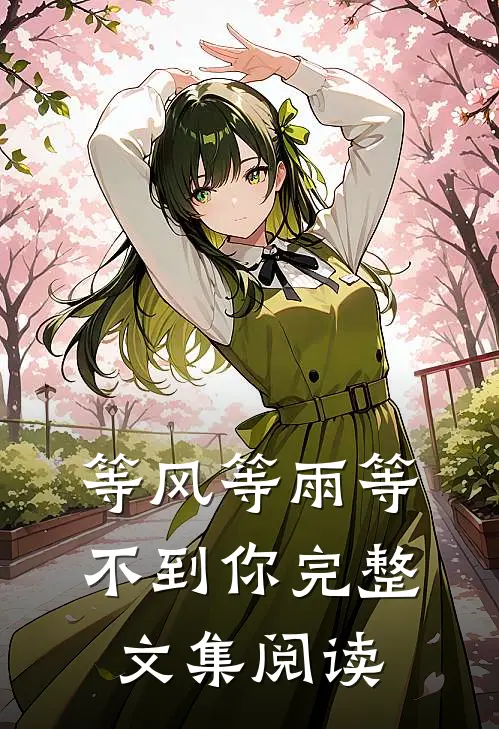 等风等雨等不到你完整文集阅读