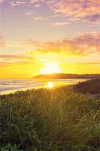 开民宿赔光家底，女友分手倒打一耙李阳王宇后续+完结