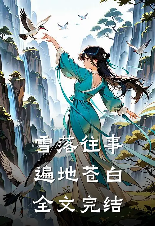 雪落往事,遍地苍白全文完结了吗