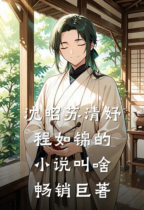 沈昭苏清妤程如锦的小说叫啥畅销巨著