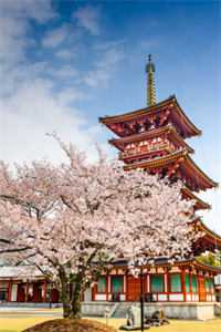 成婚两年，夫君竟说我不能生？爆款热文