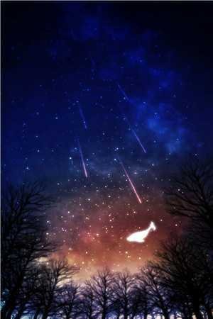 青丝绾尽离别意广告+结局