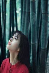 长亭烟雨湿青衣沈听澜许清玥全集